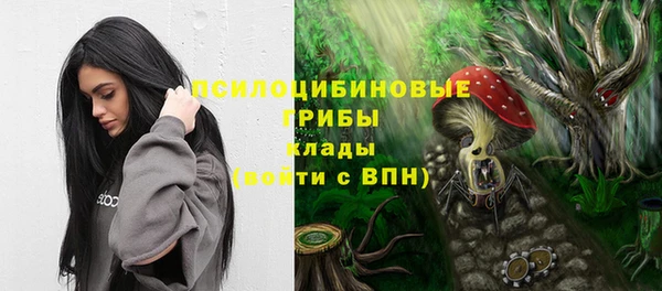СК Нефтекумск
