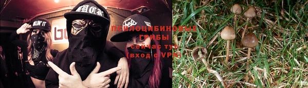 дурь Нея